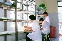 Đánh giá nghiên cứu khoa học như thế nào?