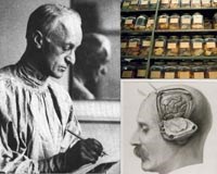 Một số điểm mới trong nghiên cứu chẩn đoán và điều trị sốt rét trên thế giới và Việt Nam