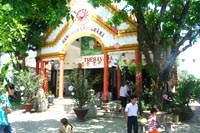 Ngắm 2 cây sala cổ nhất Huế nở hoa đỏ rực trong lễ Phật đản