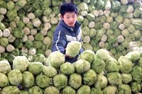 Điểm báo về các thông tin liên quan đến y tế ngày 4/5 đến 10/5 năm 2012