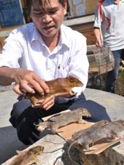 Truy tìm nguồn cơn