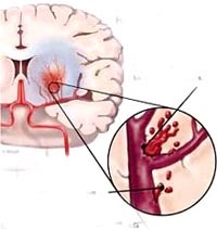 Thông tin y học cập nhật trên thế giới