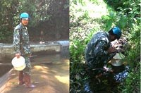 Chuyện những người vào rừng bắt muỗi để... mổ bụng