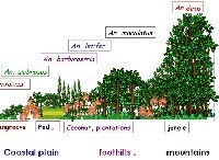 Ý nghĩa các chỉ số ứng dụng trong dịch tễ học côn trùng