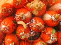 Điểm báo về các thông tin liên quan đến y tế từ ngày 12/6 đến 18/6 năm 2012