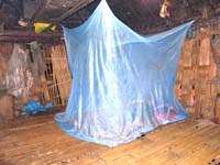 Ngủ màn không tẩm hóa chất