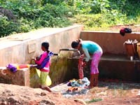 Nguy cơ nhiễm bệnh giun sán ký sinh ở nước ta và cách phòng tránh