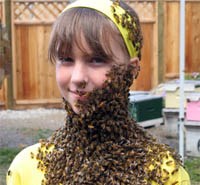 Bệnh do côn trùng truyền-mối quan tâm cần giải quyết