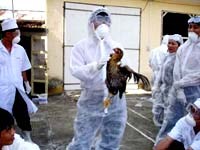 Điểm báo về các thông tin liên quan đến y tế từ ngày 1/9 đến 5/9 năm 2012