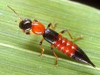 Điểm báo về các thông tin liên quan đến y tế từ ngày 08/9 đến 10/9 năm 2012