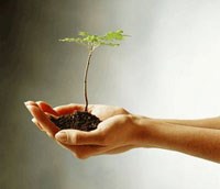 Những mẩu chuyện về hạt giống tâm hồn