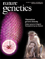 Những đột phá mới trong nghiên cứu về ký sinh trùng sốt rét Plasmodium vivax 