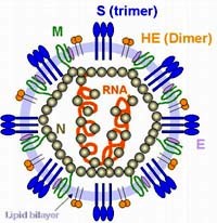 Điểm báo về các thông tin liên quan đến y tế ngày 10/10 và 11/10 năm 2012