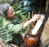 Rượu đoác: đặc sản của dân tộc Tà Ôi tại A Lưới, Thừa Thiên Huế