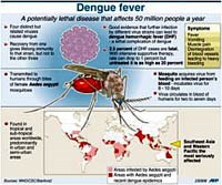 Tình hình sốt xuất huyết tại khu vực châu Á-Thái Bình Dương và một số điểm mới trong điều trị