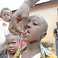 Tổng quan về những căn bệnh nhiệt đới bị lãng quên ở châu Đại Dương