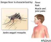 Làm thế nào để phòng chống sốt xuất huyết ?