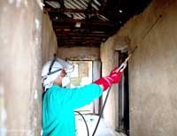 Muỗi sốt rét thay đổi tập tính đốt người ở Châu Phi