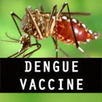 Vaccine sốt xuất huyết (Dengue NIH) an toàn ở người