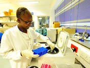 Piperaquine phosphate với tính năng “mới’ của một thuốc “cổ điển”