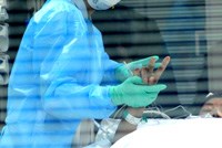 Không có bằng chứng về nhiễm cúm chim từ người sang người