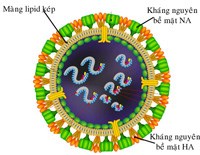 Cúm A H7N9 sẽ lan tràn ra ngoài lục địa Trung Quốc ?