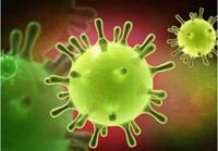 WHO họp báo trình bày tình hình liên quan đến nhiễm chủng coronavirus mới 