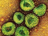 Thông tin cập nhật của WHO về nhiễm chủng Coronavirus mới 