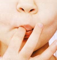 Làm thế nào để phòng, tránh bệnh ấu trùng giun đũa chó/mèo 