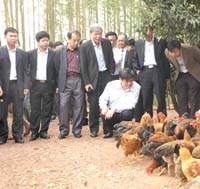 Tình hình dịch bệnh truyền nhiễm và hoạt động y tế dự phòng tháng 5 năm 2013