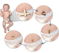 Một số vấn đề sức khỏe đáng chú ý trên phạm vi toàn cầu