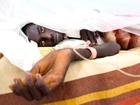 Bệnh sốt vàng do véc tơ truyền