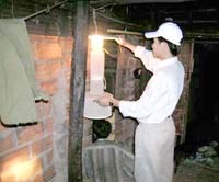 Hiểm nguy bắt muỗi đêm nghiên cứu sốt rét ở chuồng gia súc 