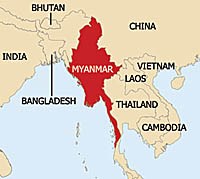 Tổ chức Y tế thế giới cảnh báo ký sinh trùng sốt rét đã dung nạp thuốc tại Myanmar