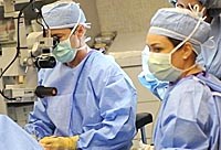 Thông tin cập nhật về virus H6N1 đầu tiên