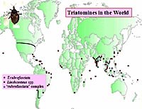 Hội thảo quốc tế về vai trò dịch tễ học của Bọ xít hút máu ở Việt Nam
