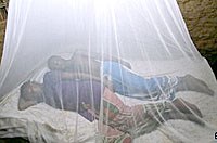 Sốt rét: Màn ngủ do Anh tài trợ được sử dụng “Quá ít”