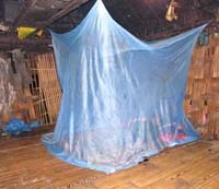 Các phương pháp phòng chống vector sốt rét mang tính cốt lõi