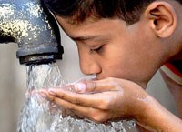 Những ca bệnh mới do amibe ăn não người Naegleria fowleri  tiếp tục trở lại trên thế giới