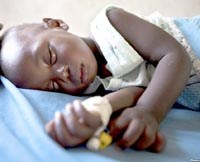 Cần diệt muỗi ở giai đoạn sớm hơn