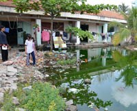 Cần quan tâm đến ổ bệnh thiên nhiên để chủ động phòng chống bệnh lây nhiễm