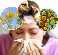 Dị ứng và những công cụ truy tìm tác nhân sinh bệnh (Phần 1)