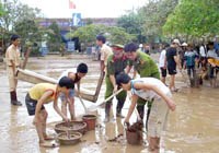 Vấn đề vệ sinh môi trường: xử lý trước, trong và sau bão lụt