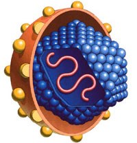 Điểm báo về các thông tin liên quan đến y tế từ ngày ngày 17/9 đến 19/9 năm 2013