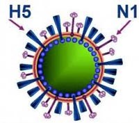 Tình hình dịch bệnh truyền nhiễm và hoạt động y tế dự phòng tháng 9 năm 2013