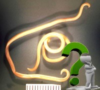 Chuyên mục trả lời câu hỏi bạn đọc về chuyên ngành sốt rét, ký sinh trùng, côn trùng tháng 10 năm 2013