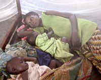 Bệnh sốt rét tái diễn ở Cameroon và Ethiopia cắt giảm được hai phần ba tử vong trẻ em 