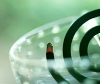 Xua muỗi truyền bệnh sốt xuất huyết bằng hóa chất