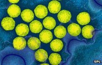 Dịch bại liệt và phòng chống bại liệt trên thế giới