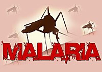 Thế giới với cuộc chiến chống lại bệnh sốt rét